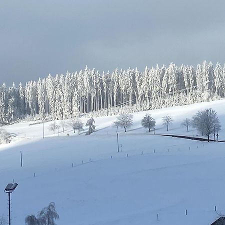 Апартаменты Im Salzgassle Schonach im Schwarzwald Экстерьер фото