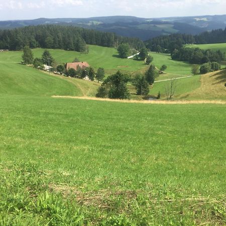 Апартаменты Im Salzgassle Schonach im Schwarzwald Экстерьер фото