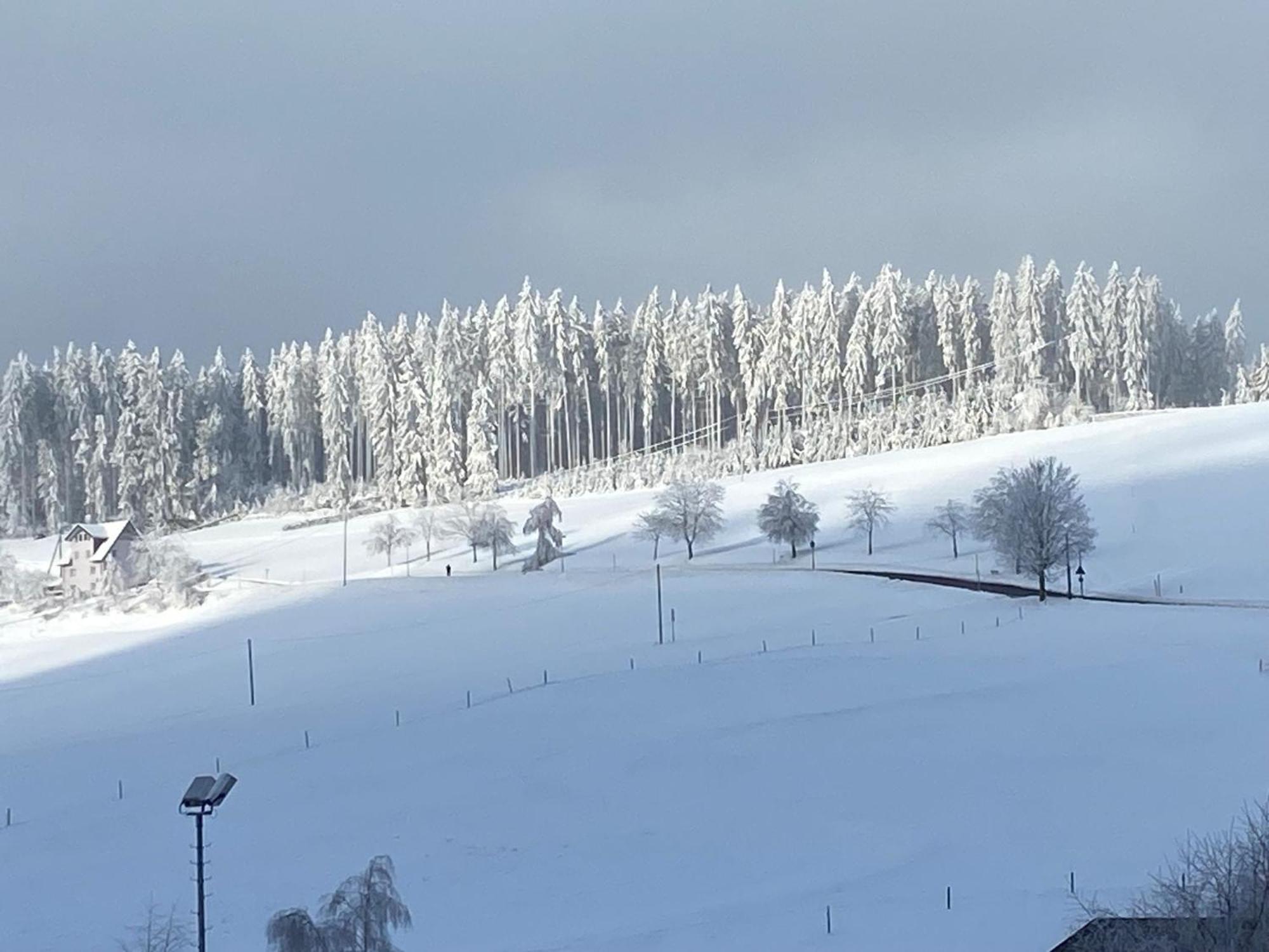 Апартаменты Im Salzgassle Schonach im Schwarzwald Экстерьер фото