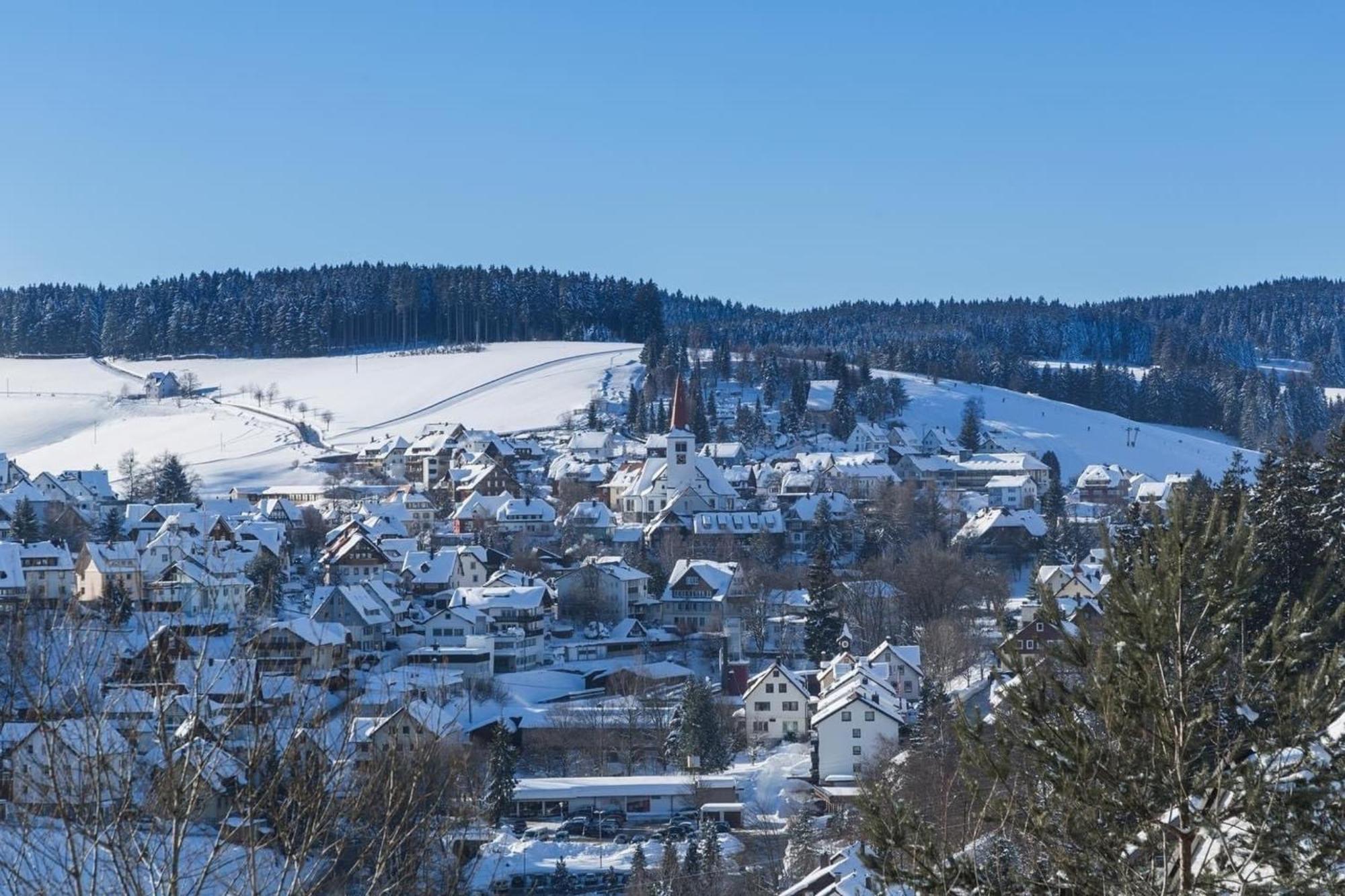 Апартаменты Im Salzgassle Schonach im Schwarzwald Экстерьер фото