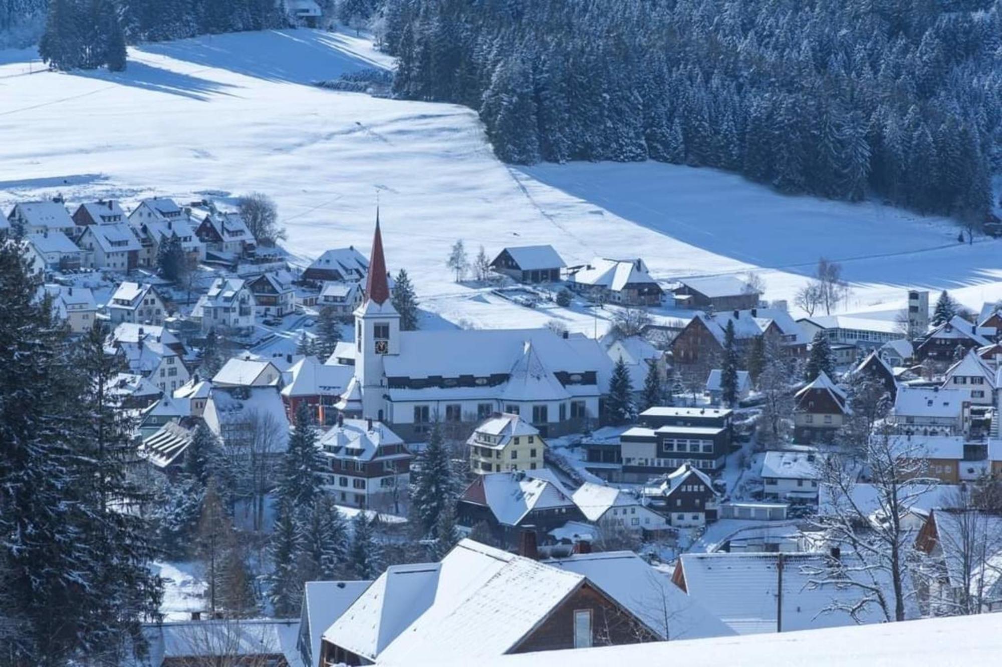 Апартаменты Im Salzgassle Schonach im Schwarzwald Экстерьер фото