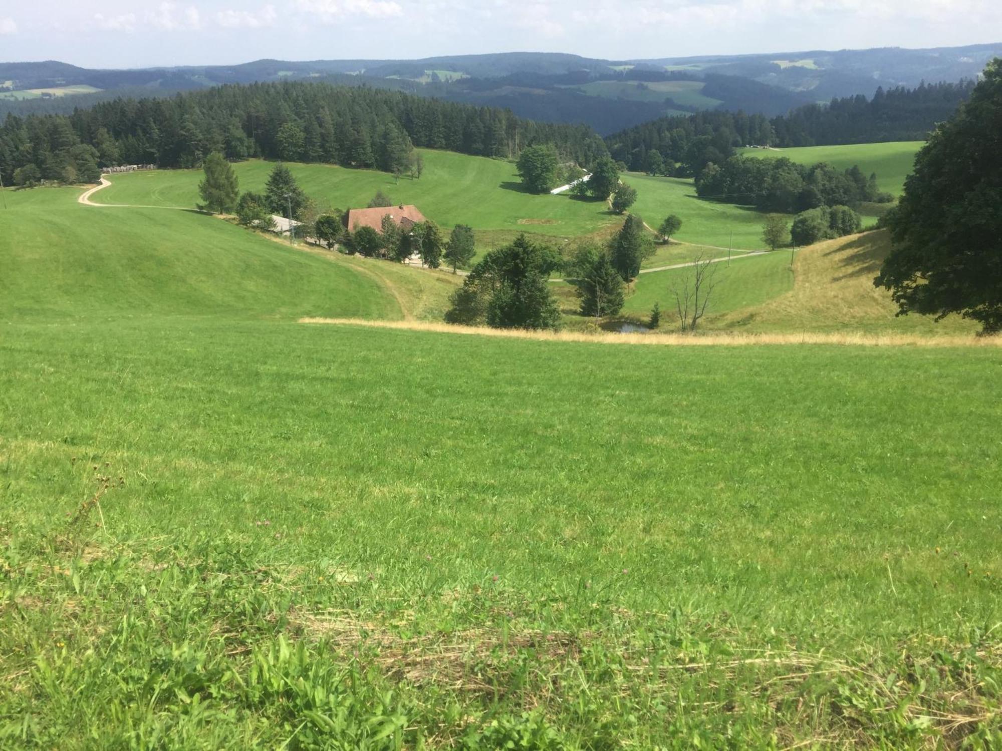 Апартаменты Im Salzgassle Schonach im Schwarzwald Экстерьер фото